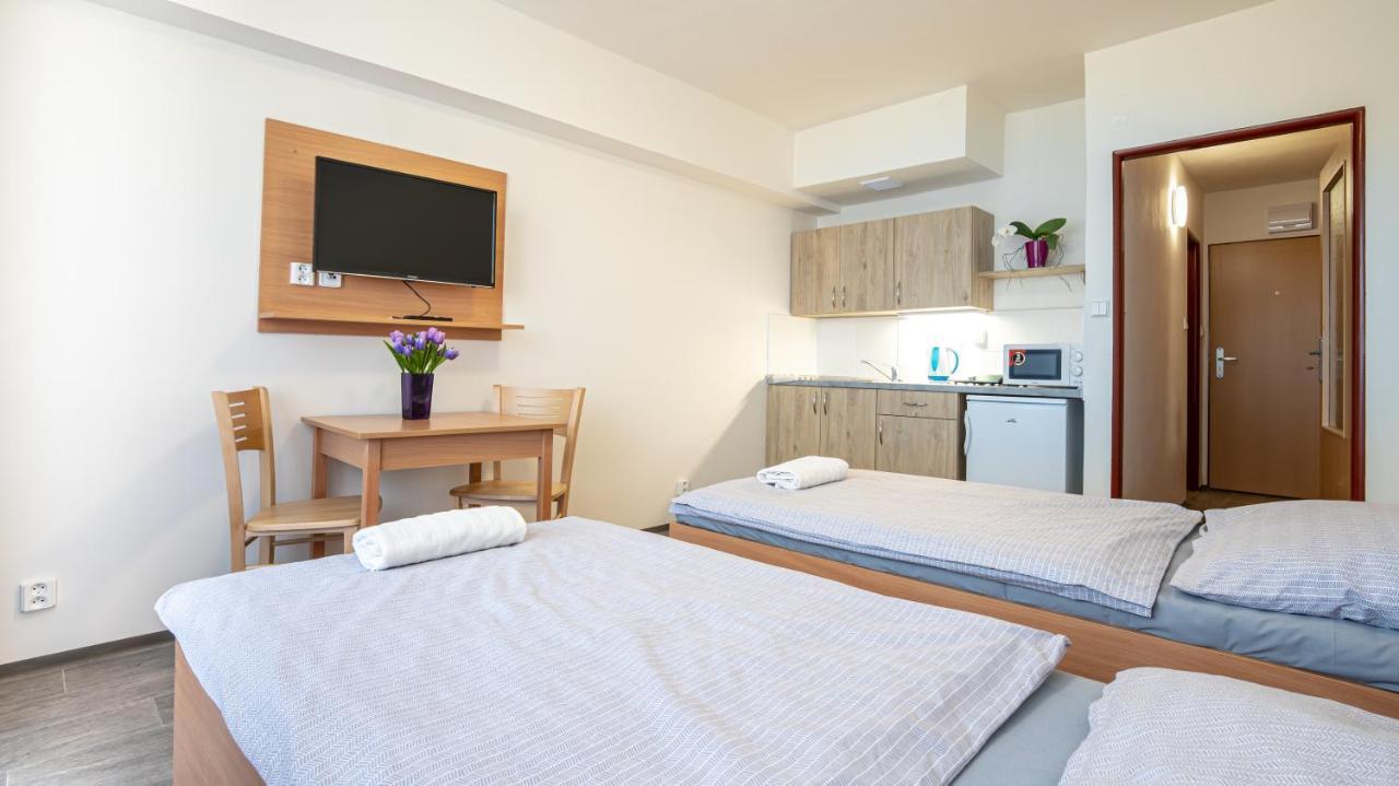 Apartmany A Studia Zamecky Park Litvínov Екстериор снимка