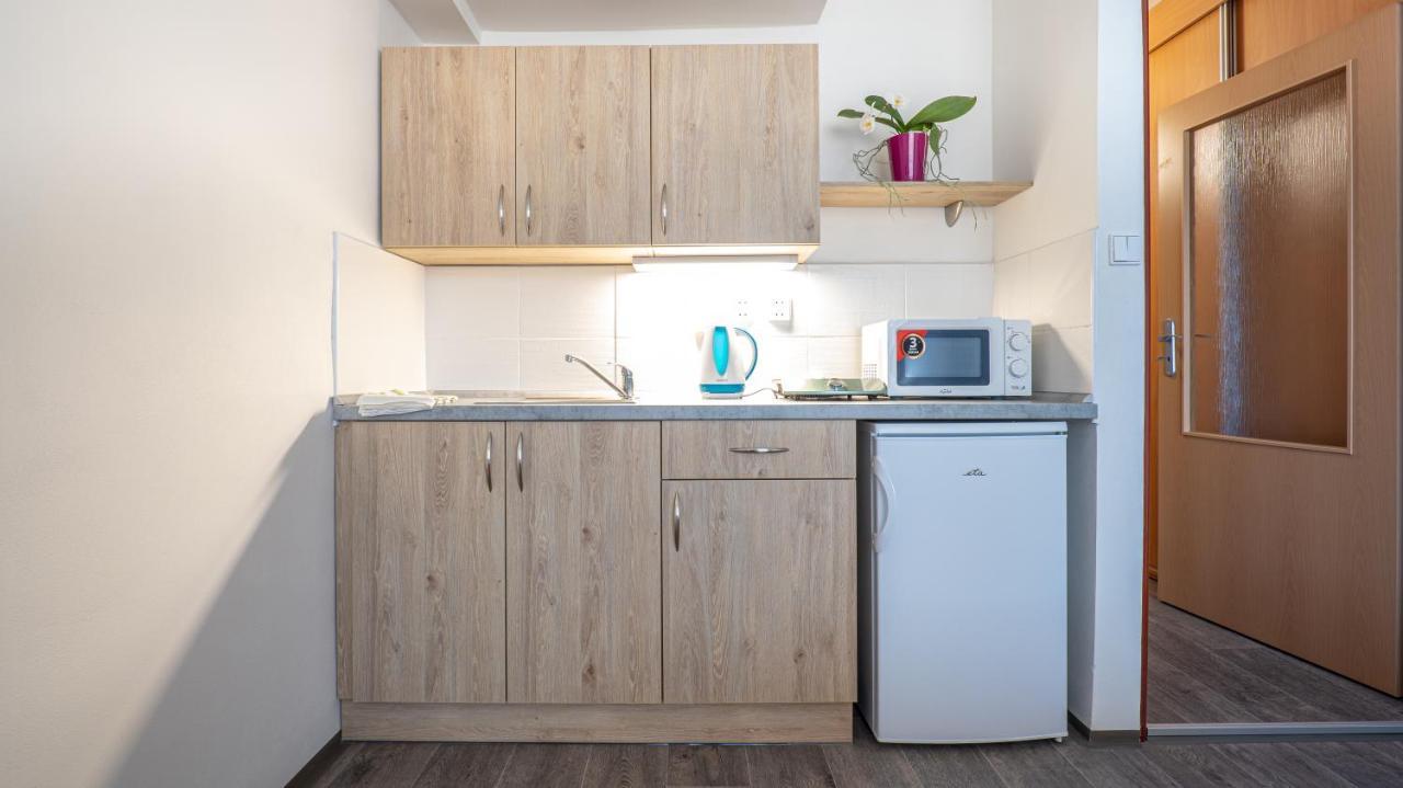 Apartmany A Studia Zamecky Park Litvínov Екстериор снимка